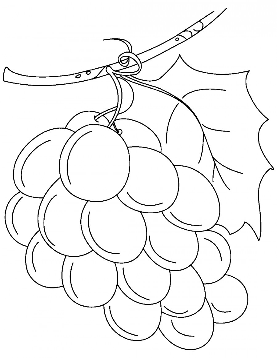 Большой виноград - раскраска №7543