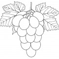 Виноград с листочками - раскраска №12643