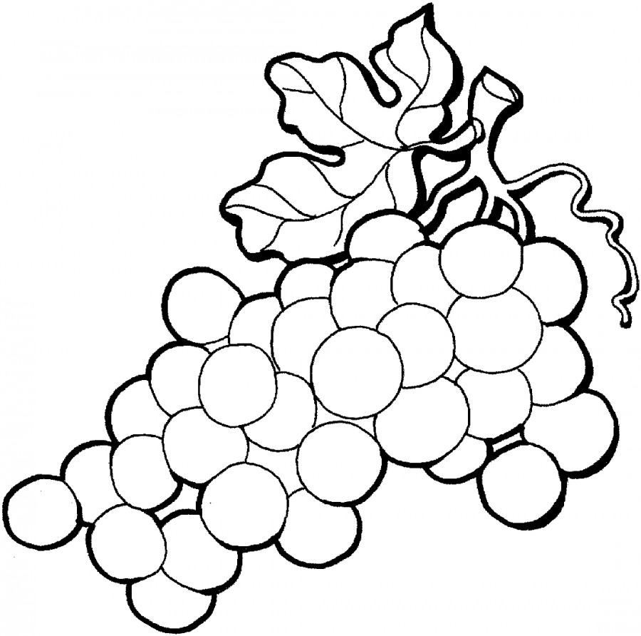 Круглый виноград - раскраска №5915