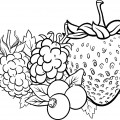 Набор фруктов - раскраска №10260