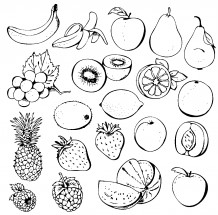 Хорошо прорисованные фрукты - раскраска					№5996