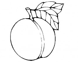 Персик с листочком - раскраска					№4142