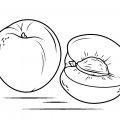 Персик с сердцевиной - раскраска №13250