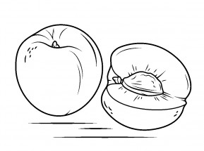 Персик с сердцевиной - раскраска					№13250