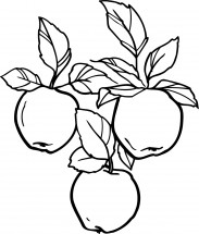 Три яблока висят - раскраска					№9769
