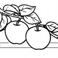 Яблоки на ветке - раскраска №4078