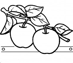 Яблоки на ветке - раскраска					№4078