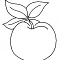 Яблоко с тремя листочками - раскраска №13197