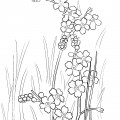 Цветы в траве - раскраска №11820