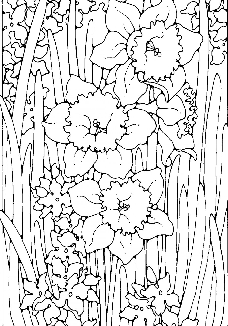 Нарциссы в траве - раскраска №4146