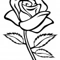 Крупная роза - раскраска №10415