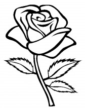 Крупная роза - раскраска					№10415