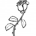 Одна роза - раскраска №11316