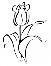 Изящный тюльпан - раскраска					№10997