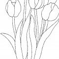 Пять тюльпанов - раскраска №4016