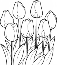 Семь тюльпанов - раскраска					№11696