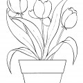 Тюльпаны в вазоне - раскраска №4116
