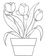 Тюльпаны в вазоне - раскраска					№4116