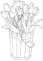 Тюльпаны в ведре - раскраска					№14172