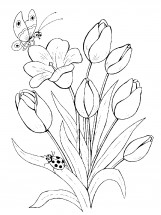 Тюльпаны и бабочка - раскраска					№14070