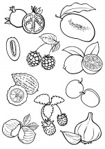 Набор ягод фруктов и овощей - раскраска					№9692