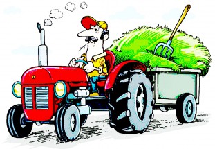 Тракторист на тракторе - картинка					№9809