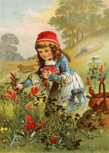Красная шапочка собирает цветы - картинка					№5325