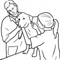 Осмотр пса у ветеринара - раскраска №12148