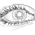 Человеческий глаз - раскраска №11810