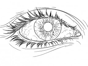 Человеческий глаз - раскраска					№11810