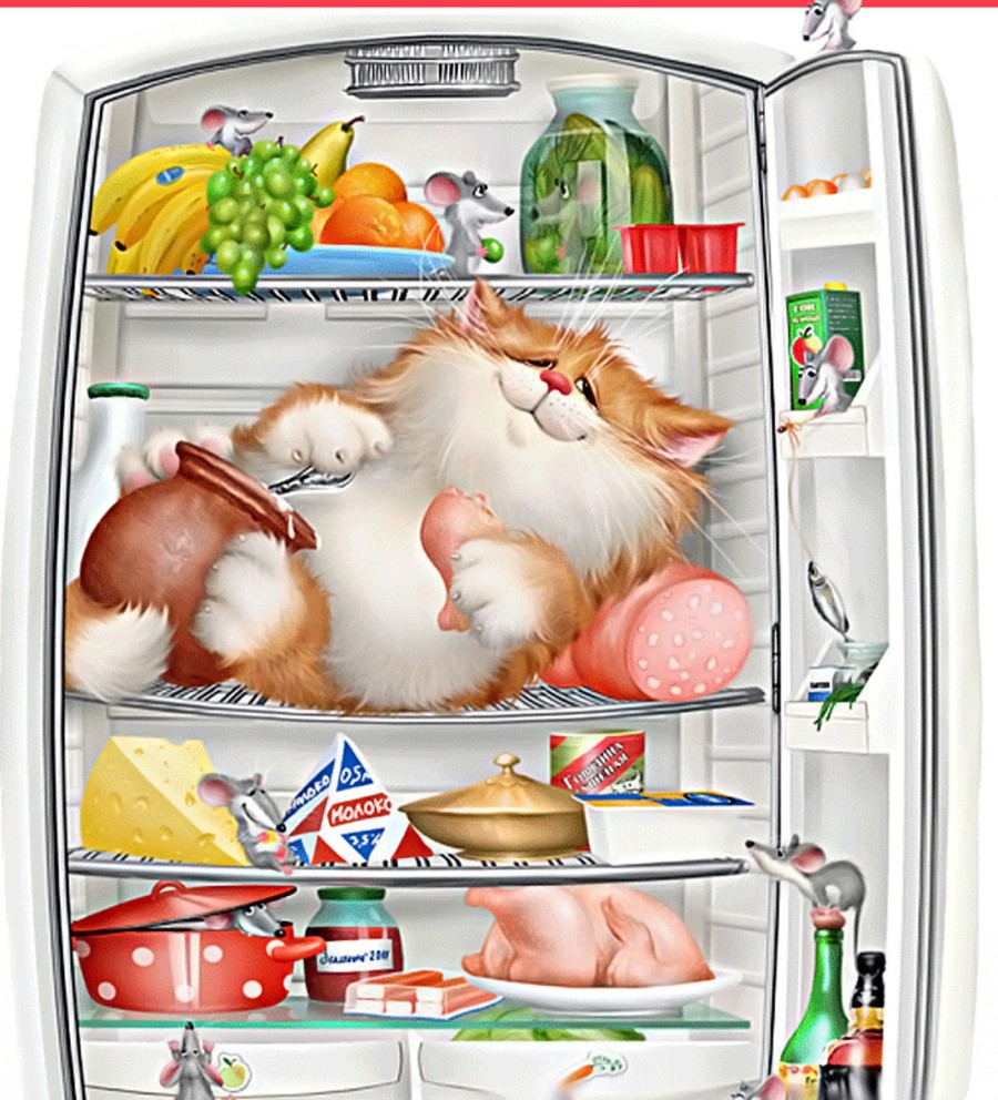 Холодильник и кот - картинка №11198