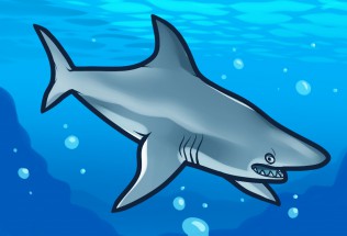 Акула в море - картинка					№11161