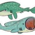 Две акулы - картинка №5987