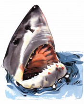 Морда акулы - картинка					№11480