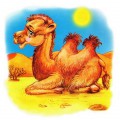 Верблюжонок - картинка №11692