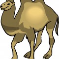 Рисунок с верблюдом - картинка №8636
