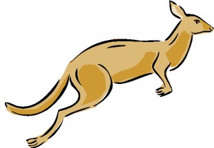 Торопливый кенгуру - картинка					№14019
