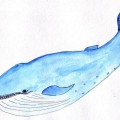 Голубой кит - картинка №10919