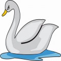 Лебедь на воде - картинка №9487
