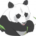 Голова панды - картинка №5794