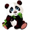 Панда красивая - картинка №8593