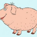 Мохнатая свинка - картинка №12880