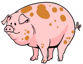 Свинка в обычной жизни - картинка					№5977