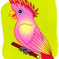 Картинка с попугаем - картинка №9503