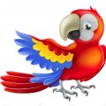 Красный попугай - картинка №10573