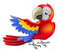 Красный попугай - картинка					№10573