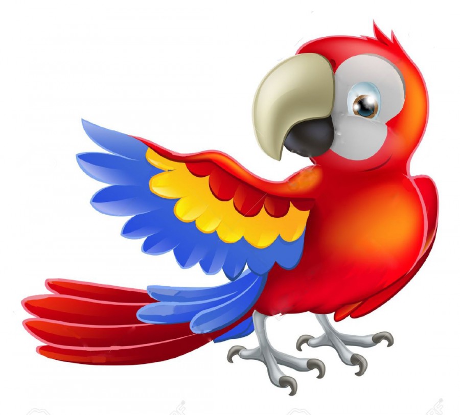 Красный попугай - картинка №10573