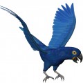 Синий попугай - картинка №11638