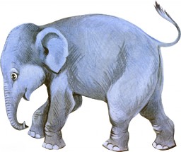 Слон сизого оттенка - картинка					№13758