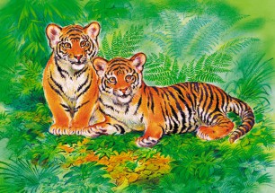 Два тигренка - картинка					№13931